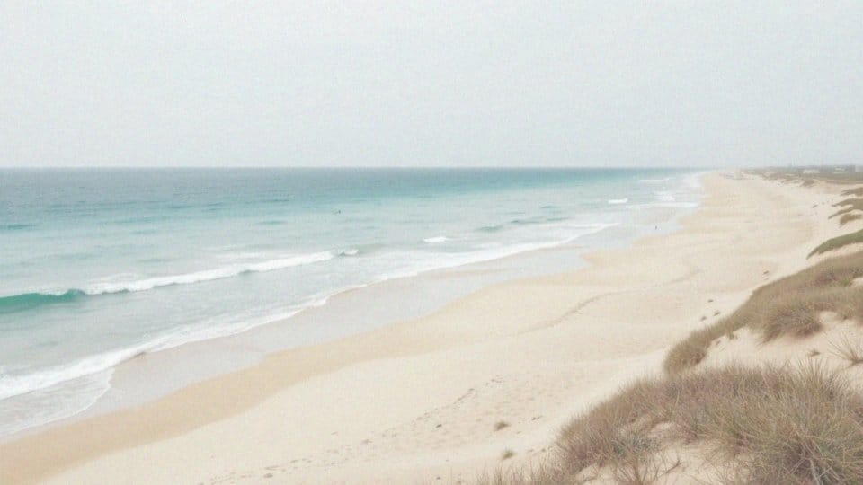 Co wyróżnia plaże na Djerbie?