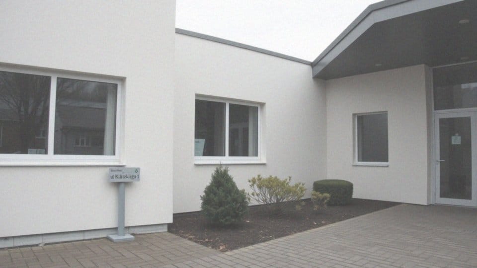 Co to jest mops? Poznaj rasę, cechy i opiekę nad mopsem