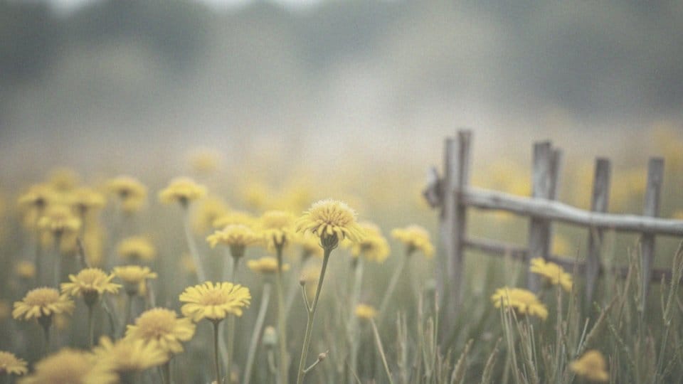 Podwyższone CRP przy alergii – co to oznacza i jak to diagnozować?