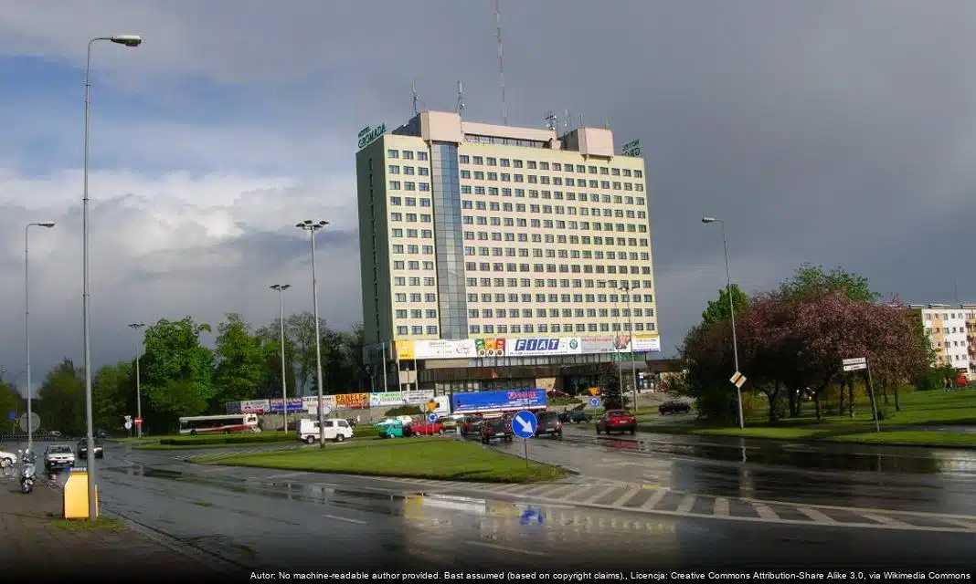 Nowy program dofinansowania zabiegów sterylizacji i kastracji dla zwierząt w Pile